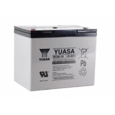 12v 80Ah Yuasa Battery REC80-12